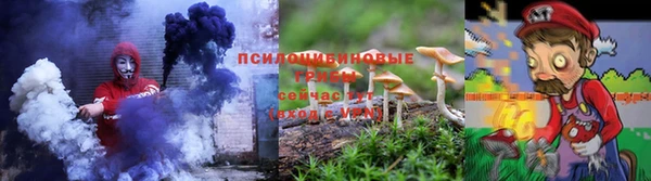 гашик Белокуриха
