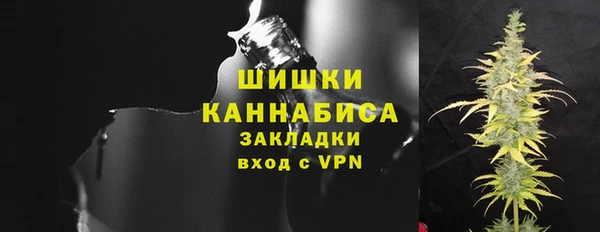 гашик Белокуриха