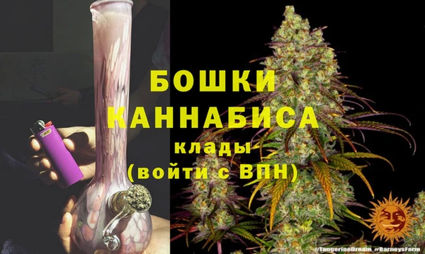 гашик Белокуриха