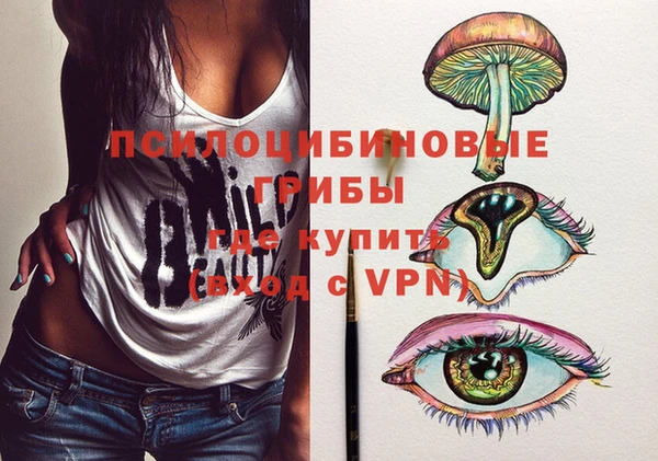 гашик Белокуриха