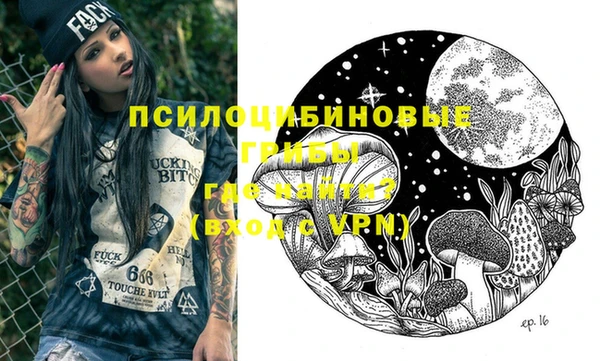 гашик Белокуриха