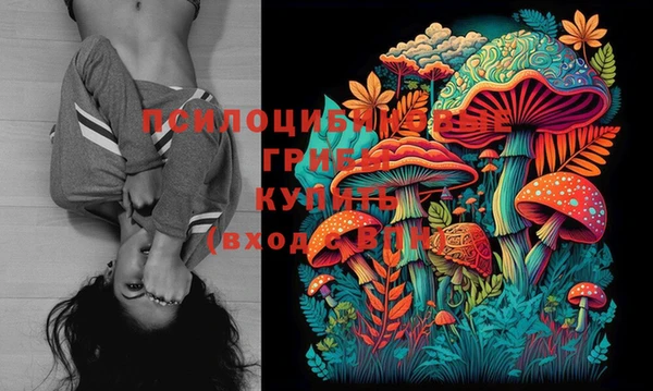 гашик Белокуриха